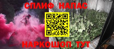 гидра Новодвинск