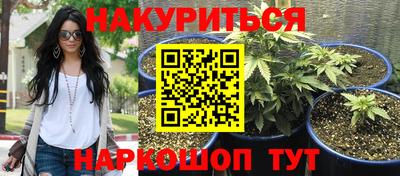 дживик Новозыбков