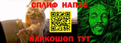 гидра Новодвинск