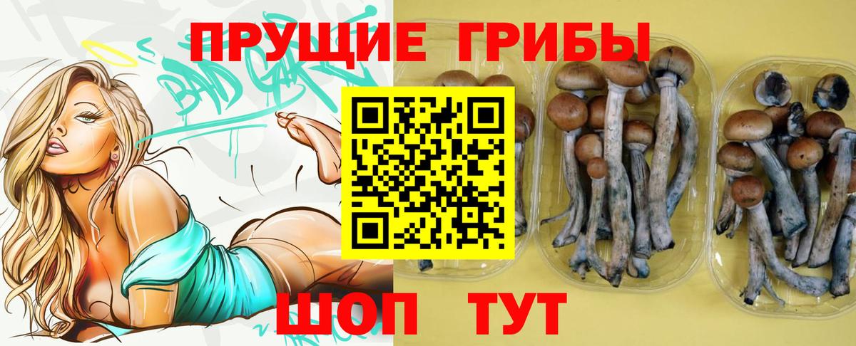Сланцы  Галлюциногенные грибы мицелий  Вход с VPN 