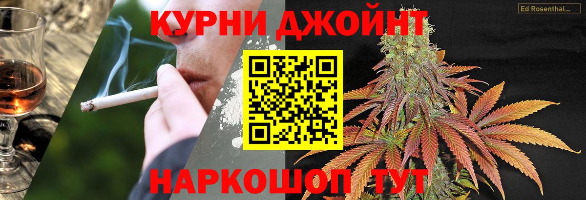 Сланцы  МАРИХУАНА семена  Каннабис план  Вход с VPN  Канабис MAZAR 
